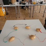 Wytworzenie energii elektrycznej z ziemniaków.jpg