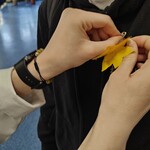 Wolontariusze przypinają żonkile (4).jpg