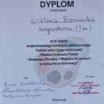 Dyplom nagrodzonej uczennicy (1).png