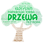 chmura_wyrazów2.png
