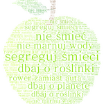 chmura_wyrazów5.png