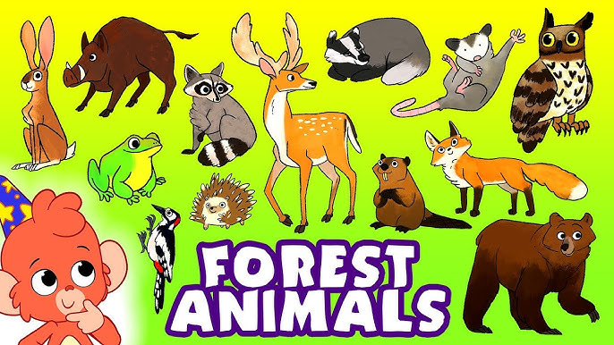 Plakat - konkurs FOREST ANIMALS.jpg