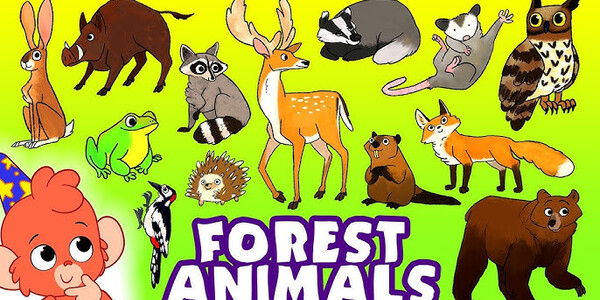 Plakat - konkurs FOREST ANIMALS.jpg