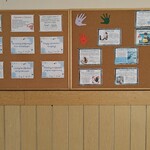 Gazetki na DBI 2026 (6).jpg