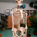 7l warsztaty w sali biologicznej 4.jpg