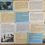 Ścienna gazetka - wypożyczalnia (1).jpg
