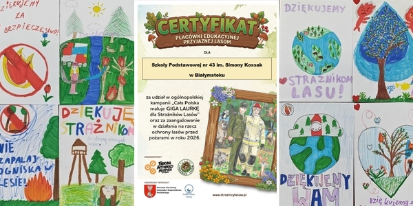 Certyfikat i prace.jpg