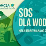 -Sprzatanie-Swiata.jpg