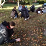 zbiórka liści kasztanowca.JPG