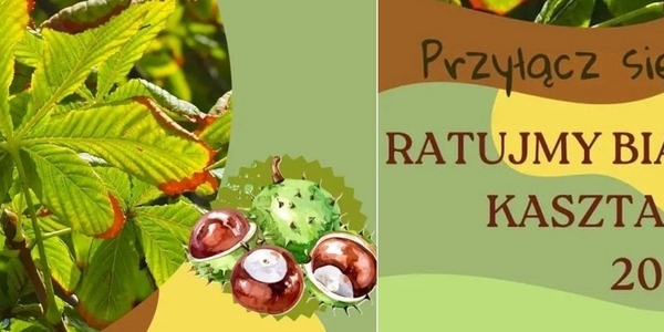 Baner akcji Ratujmy Kasztanowce.jpg