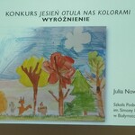 wyróżniona praca Julii - slajd w prezentacji.jpg