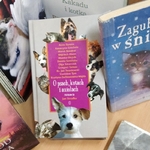 Książki z wystawki na Dzień Kota (3).jpg
