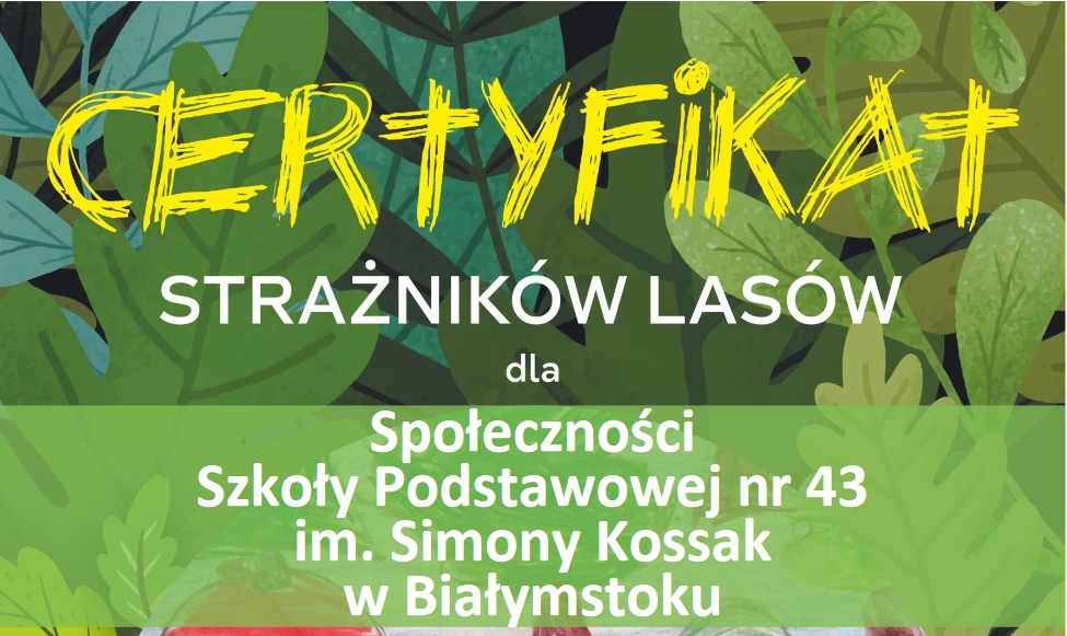 Certyfikat SP 43.jpg