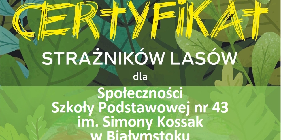 Certyfikat SP 43.jpg