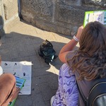 Uczniowie wykonują zadanie z WidziMisiem Studentem.jpg