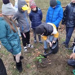 Dzieci podlewają posadzony dąb.jpg