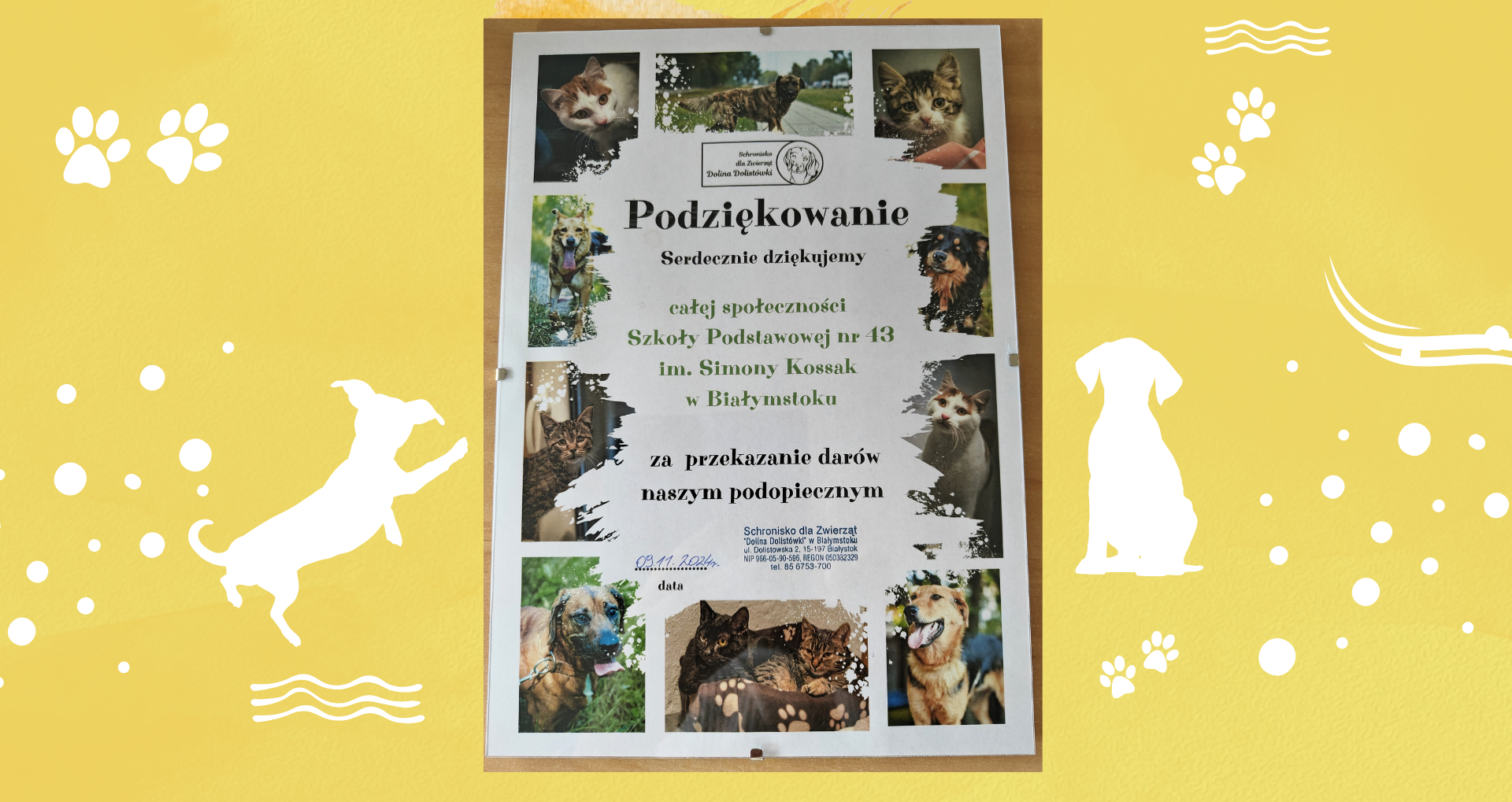 Podziękowanie od_schroniska.png