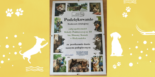 Podziękowanie od_schroniska.png
