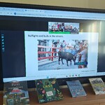 Wirtualne spotakanie uczniów V klasy SP 43 z uczniami z   Coruche w Portugalii - w trakcie spotkania (4).jpg